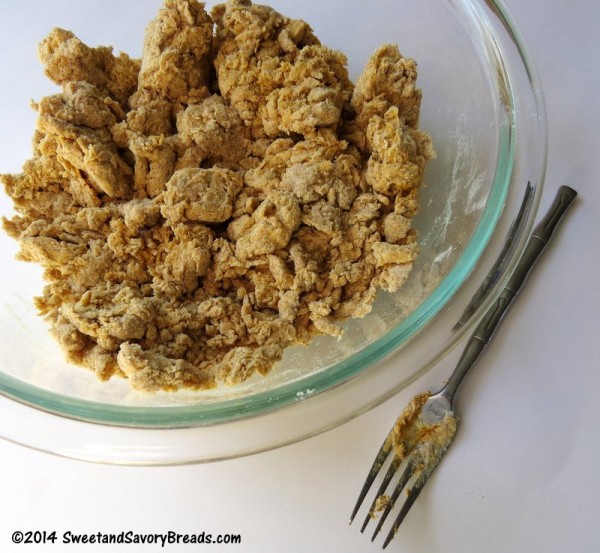 pumpkin sage biscuit dough