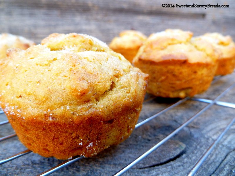 Banana Persimmon Muffins