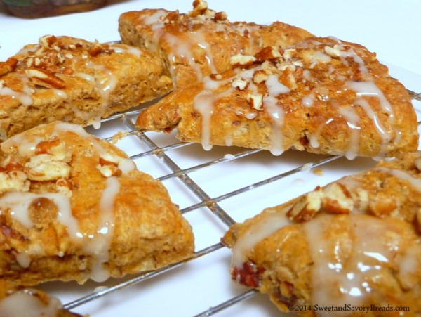 Sweet Potato Pecan Scones drizzled with maple glaze